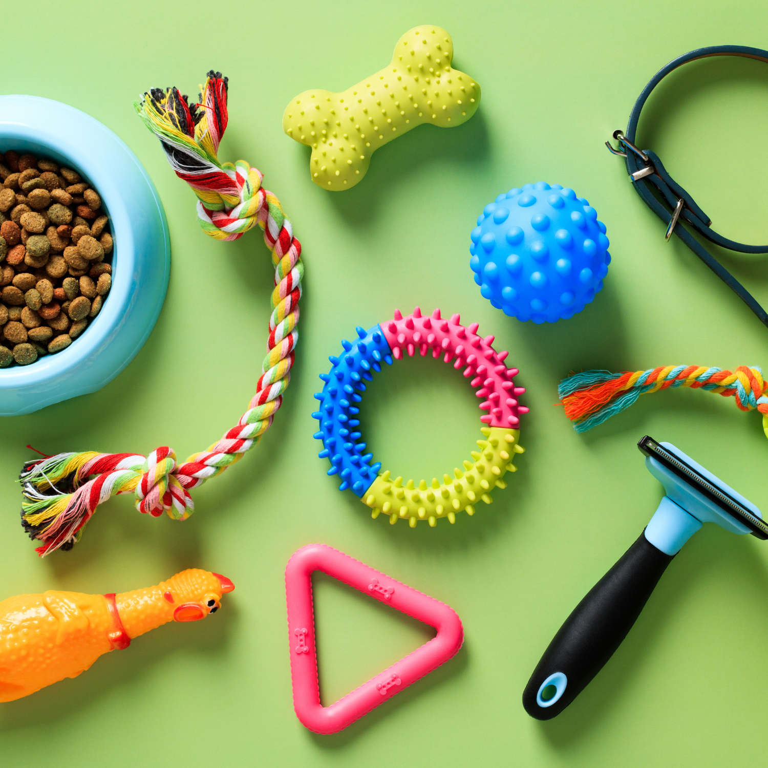 Pet Toys